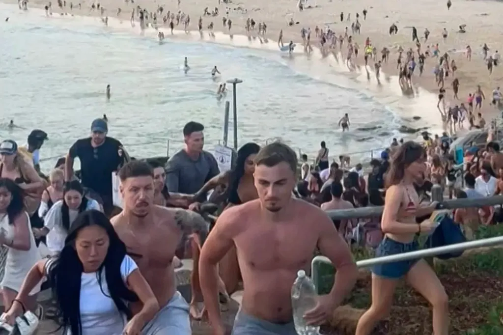 An image collage containing 1 images, Image 1 shows People running from Bondi Beach during a terrorist attack