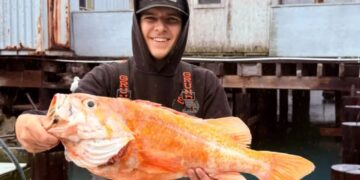 California fisherman likely breaks records by catching 10.25-pound canary rockfish