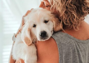 Dear Abby: My friend and I aren’t on speaking terms because she refused to watch my dog