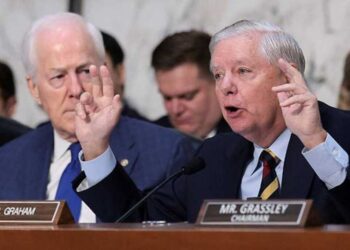 ‘You’ll drive everybody crazy!’ Trump ally undercuts him on key regulation issue