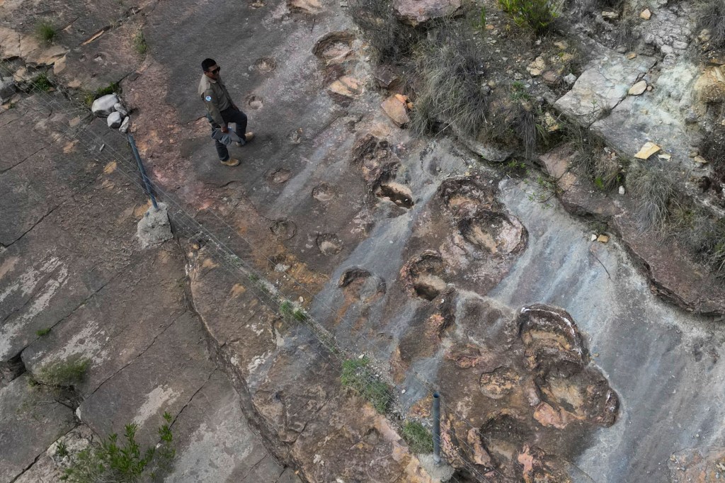 Park ranger José Vallejos stands next to petrified dinosaurs footprints in Carreras Pampa in Toro Toro National Park, north of Potosi, Bolivia, Saturday, Dec. 6, 2025.