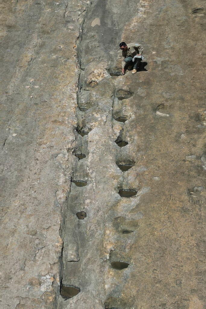 Park ranger Jose Vallejos kneels beside petrified dinosaurs footprints in Carreras Pampa in Toro Toro National Park, north of Potosi, Bolivia, Saturday, Dec. 6, 2025.