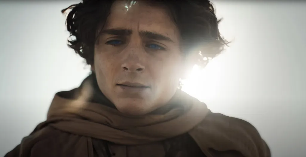 Timothee Chalamet in 