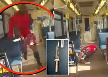 Sacramento forks over $160k after cops kill blade-brandishing madman