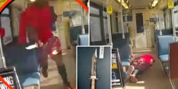 Sacramento forks over $160k after cops kill blade-brandishing madman