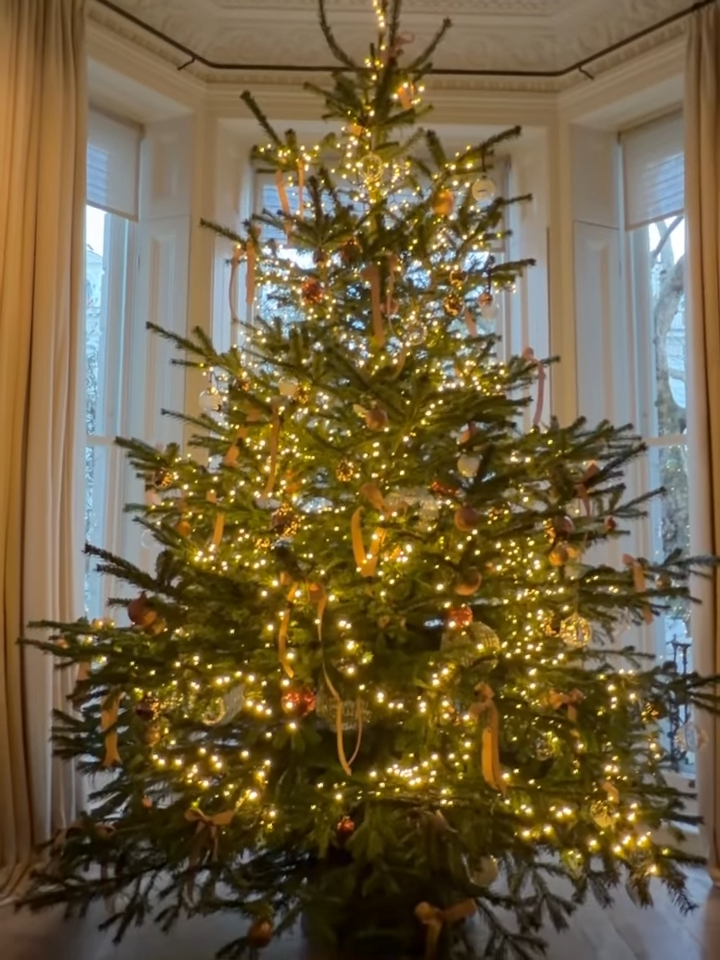 Stripped of decoration and free of clutter, the minimalist Christmas tree has become a hot trend on social media feeds, with bare trees lit by nothing but soft white lights — or, in some cases, nothing at all.