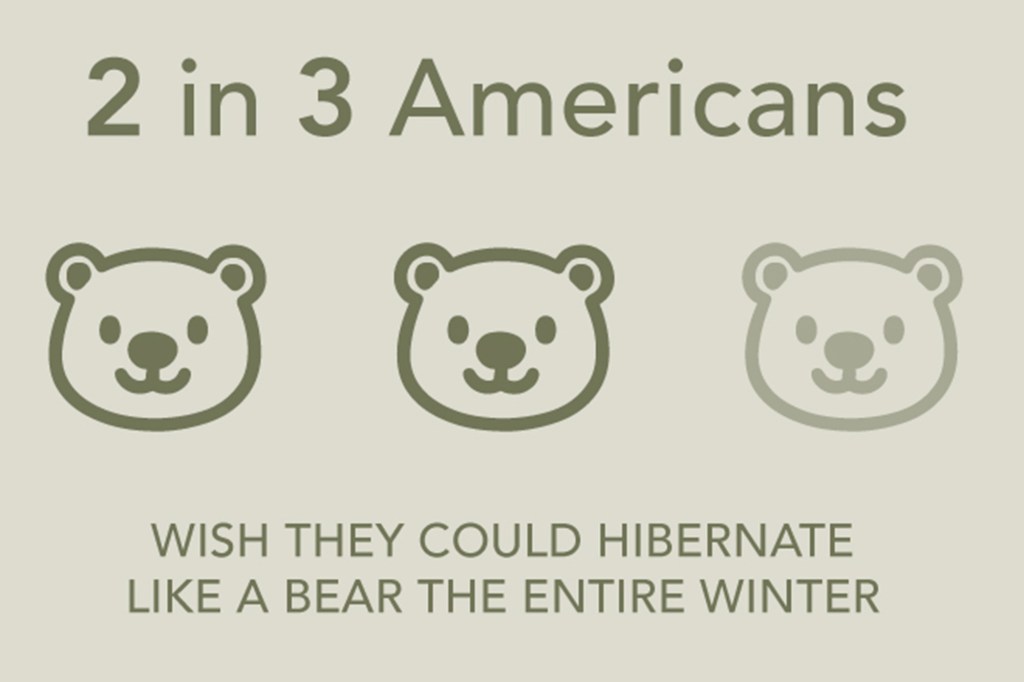 Illustration showing 2 in 3 Americans wish they could hibernate like a bear the entire winter, with two solid bear icons and one faded bear icon.