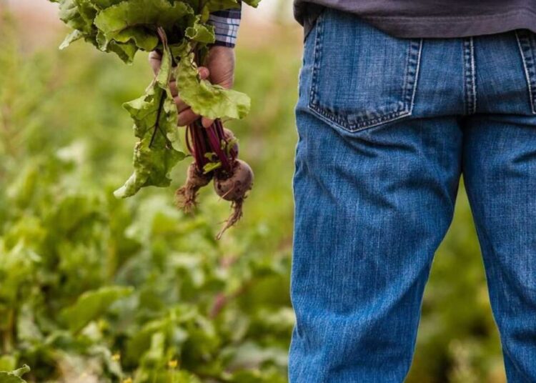 Calls to mental health hotlines rise as farmers buckle under stress