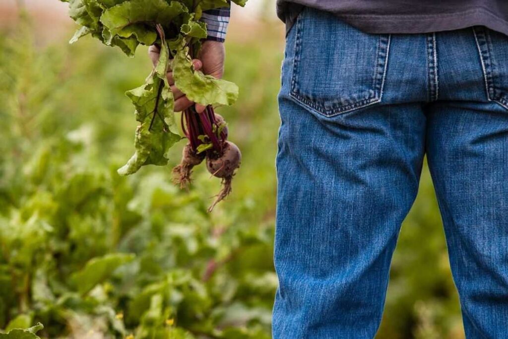 Calls to mental health hotlines rise as farmers buckle under stress