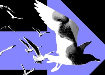 The Most Powerful Politics Influencers Barely Post About Politics