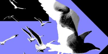 The Most Powerful Politics Influencers Barely Post About Politics