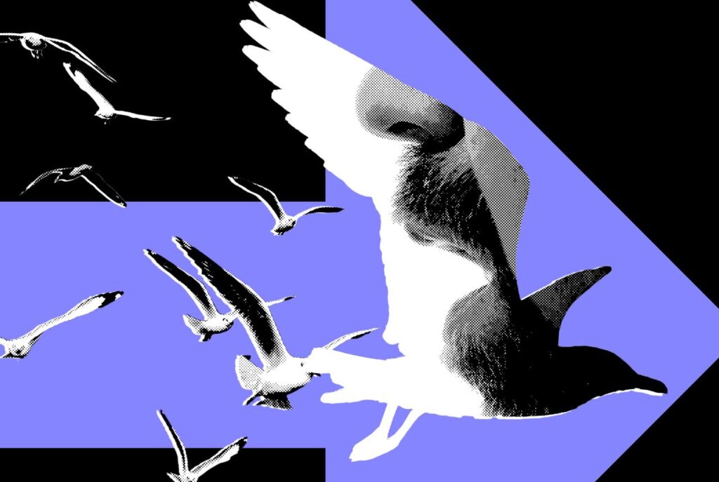 The Most Powerful Politics Influencers Barely Post About Politics