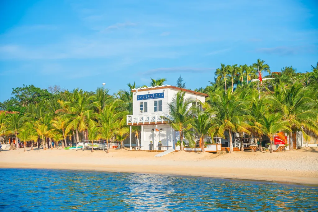 A Scuba Shop building on a sandy beach, surrounded by palm trees, with blue ocean water in the foreground.