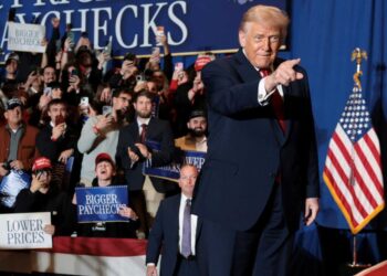 Red state Republican demands GOP colleagues defy Trump after swatting incidents