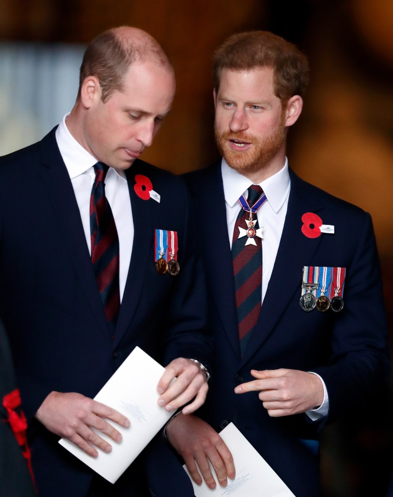 Prince William and Prince Harry wearing military ties and commemorative medals.