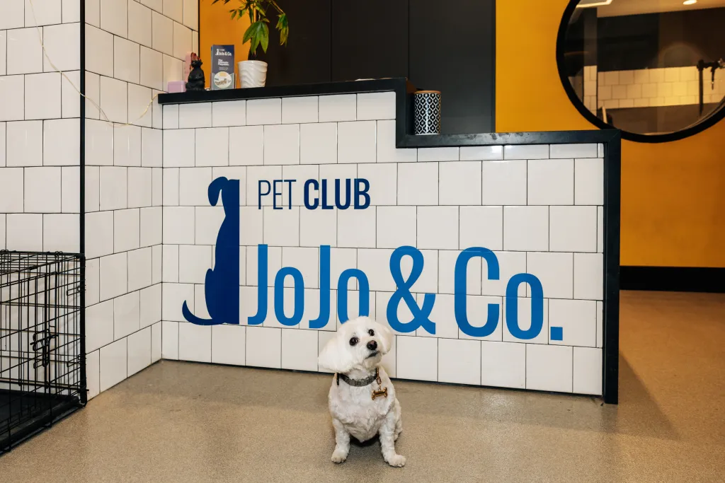 Princess, a fluffy white dog, sitting in front of a white tiled wall with the blue text 
