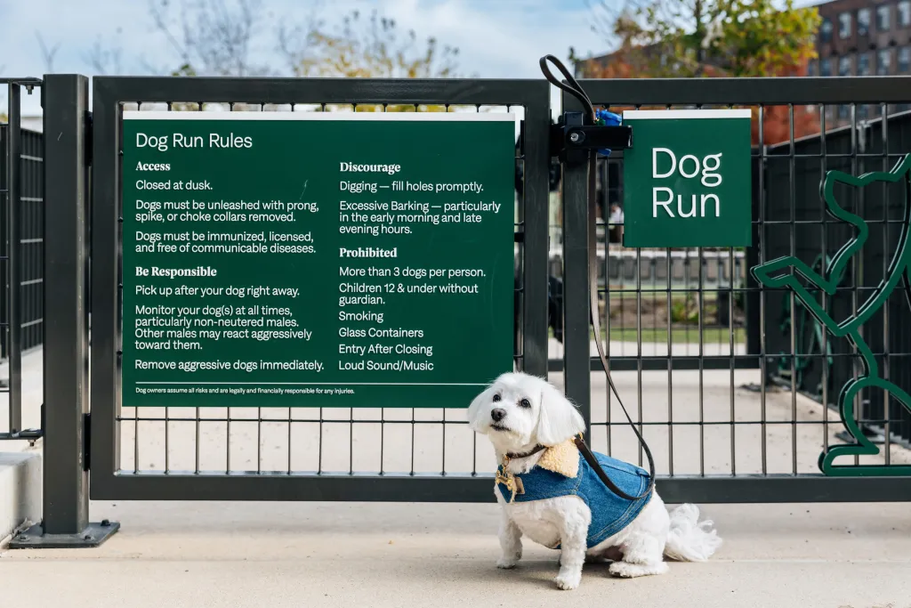 White dog named Princess wearing a denim vest sitting in front of a sign listing 