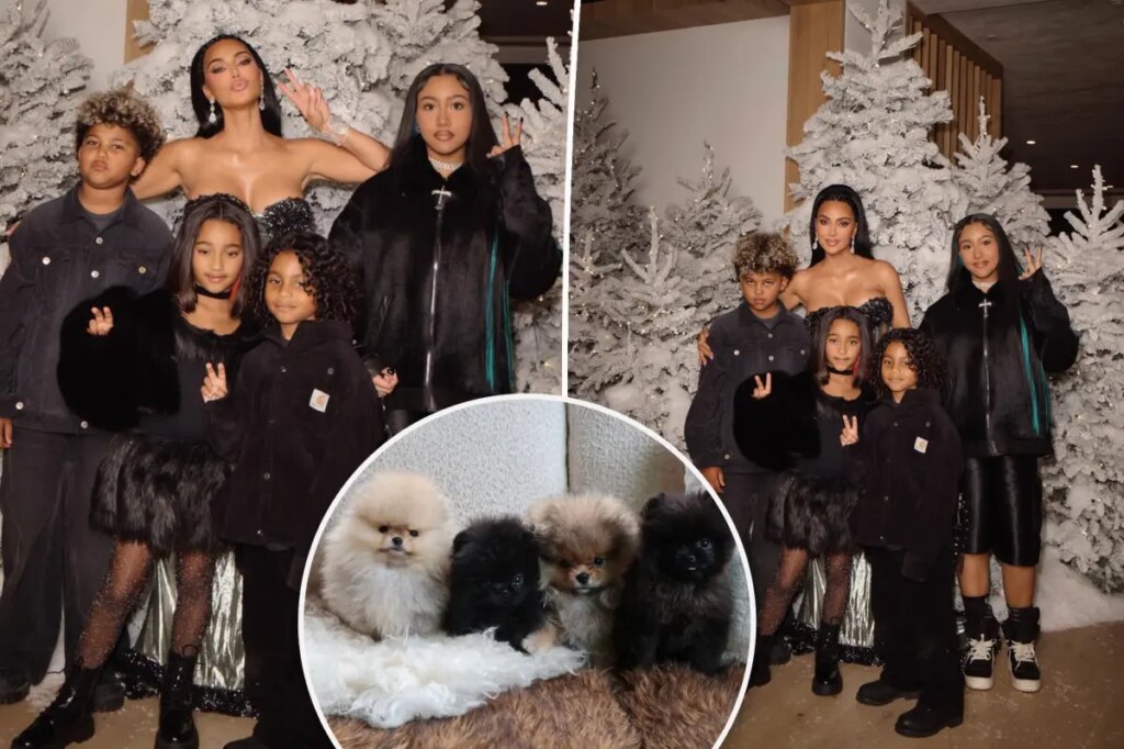 Kim Kardashian called out by PETA for gifting kids four dogs for Christmas: ‘Puppies are not plushies’