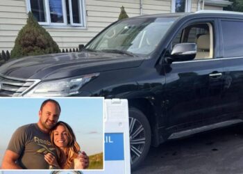 Lexus SUV Karen Read was accused of using to fatally mow down her cop boyfriend to be auctioned off