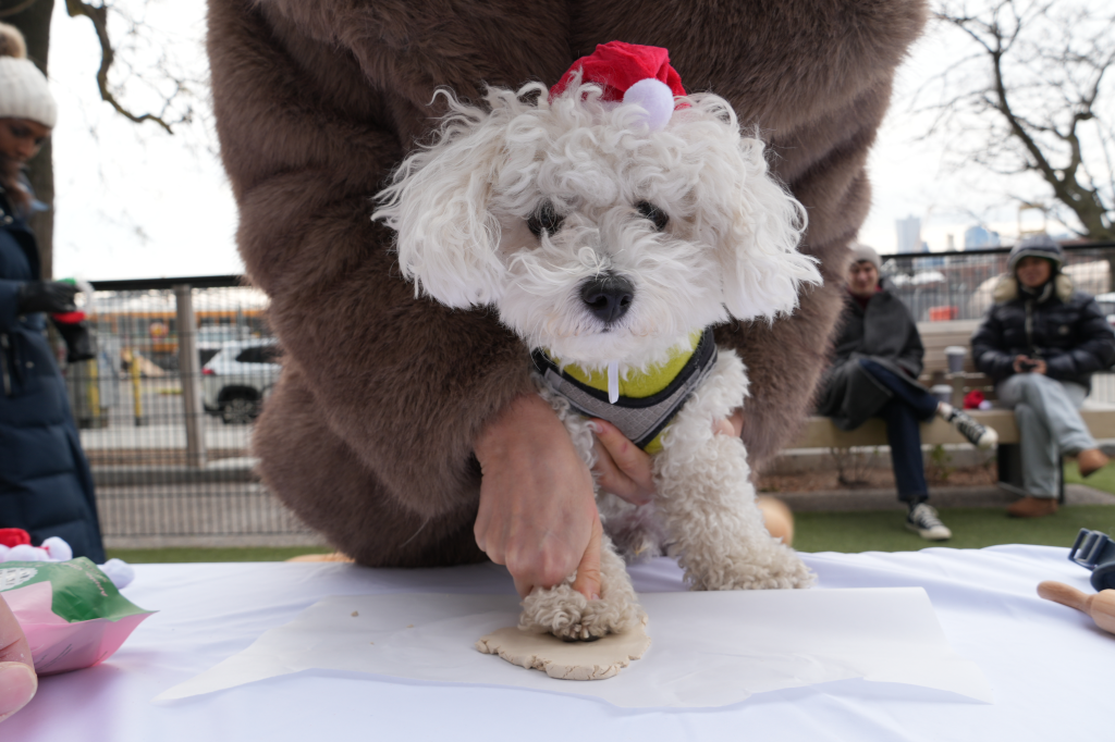 A white fluffy dog wearing a Santa hat presses its paw into clay at the Santa Paws event.