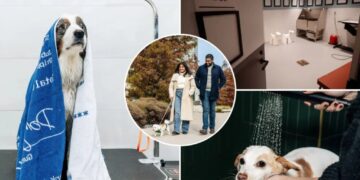 NYC empty-nesters and tenants without kids are seeking homes with pet-centric wellness perks — like puppy facials and social events