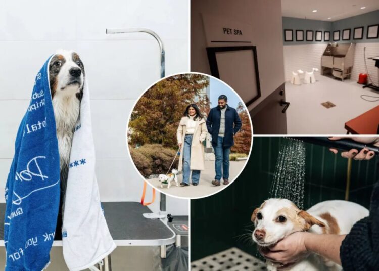 NYC empty-nesters and tenants without kids are seeking homes with pet-centric wellness perks — like puppy facials and social events
