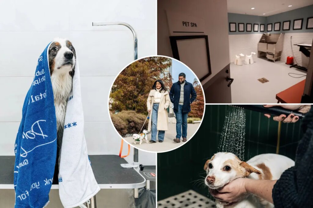 NYC empty-nesters and tenants without kids are seeking homes with pet-centric wellness perks — like puppy facials and social events