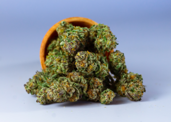 Trump Just Signed An Executive Order to Reschedule Cannabis, Expand CBD Access 