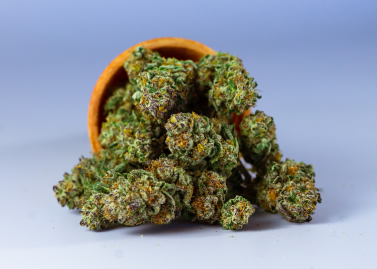 Trump Just Signed An Executive Order to Reschedule Cannabis, Expand CBD Access