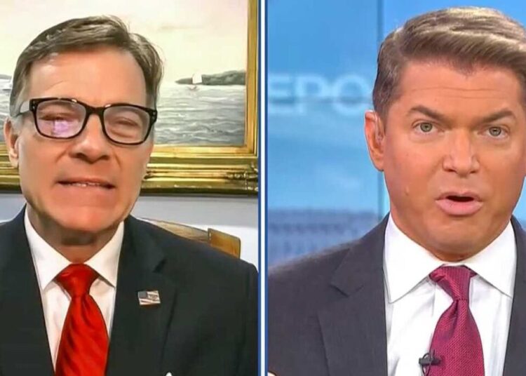 ‘Wish he would stop!’ Loyal MAGA strategists turn on Trump after latest attacks