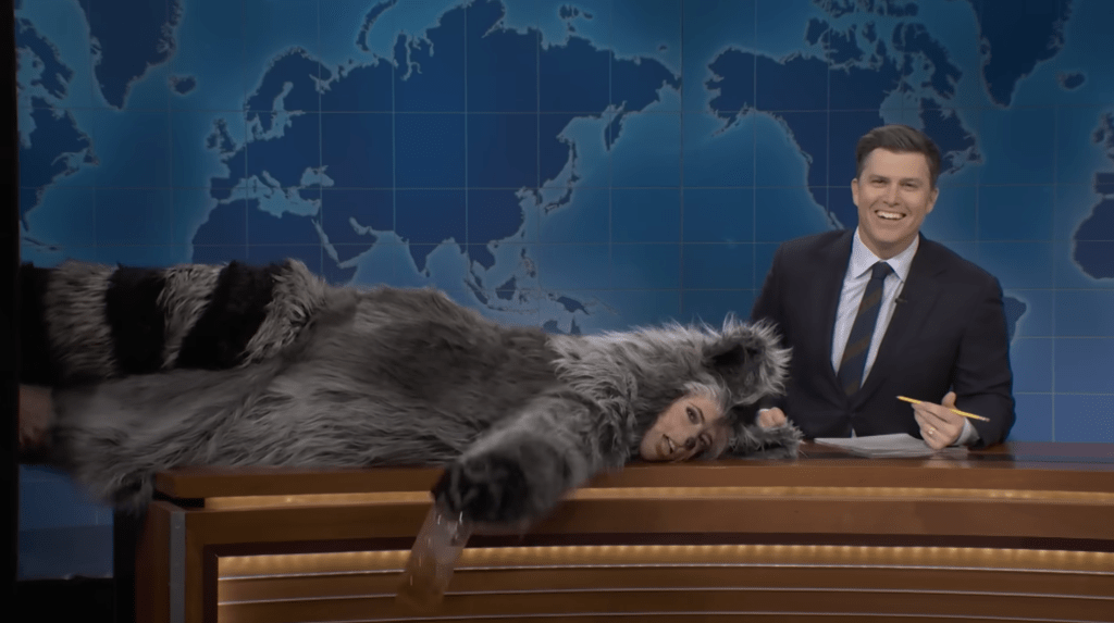 Sarah Sherman dressed as a drunk raccoon on SNL.