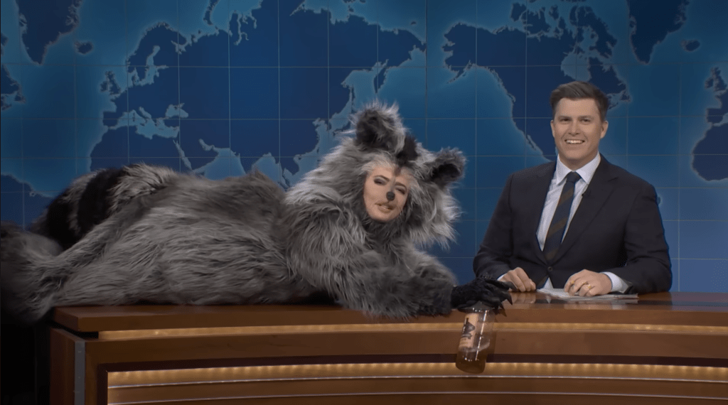 Sarah Sherman dressed as a drunk raccoon on SNL.
