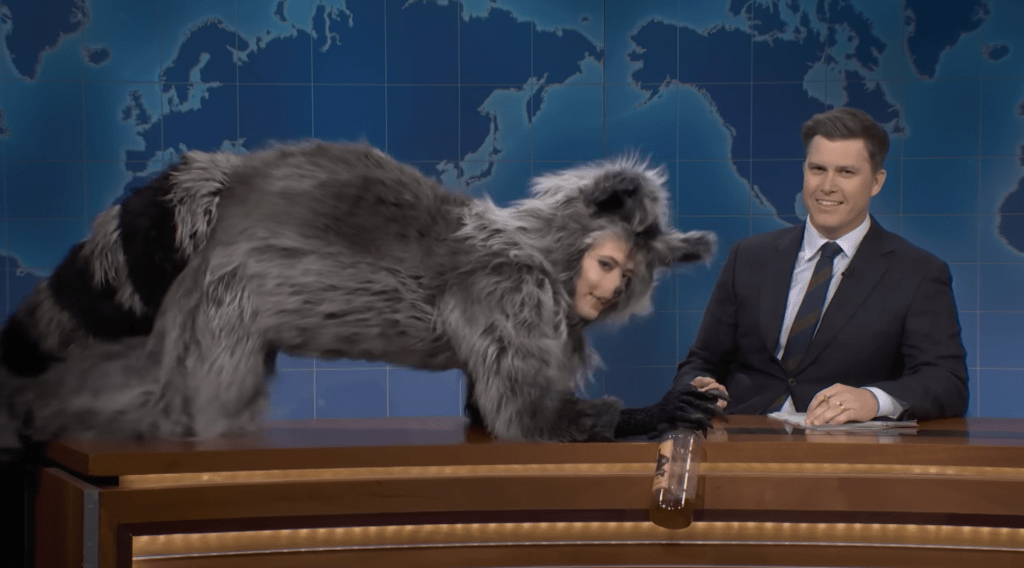 Sarah Sherman dressed as a drunk raccoon on SNL.