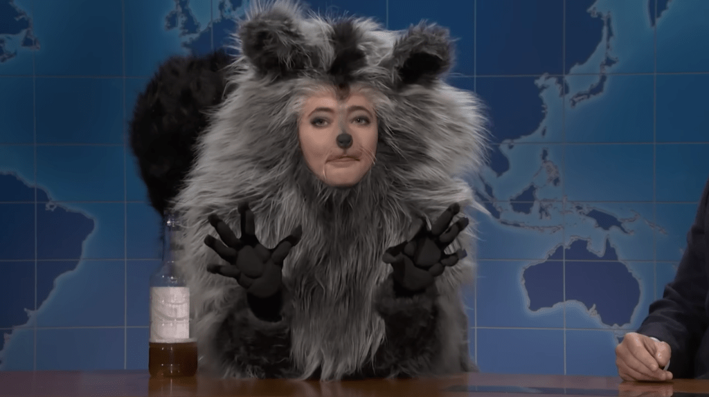 Sarah Sherman dressed as a drunk raccoon on SNL.
