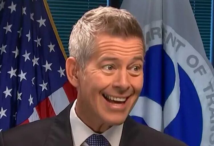 Trump official reveals hope to ‘bring back the 1970s station wagon’ with ‘wood paneling’