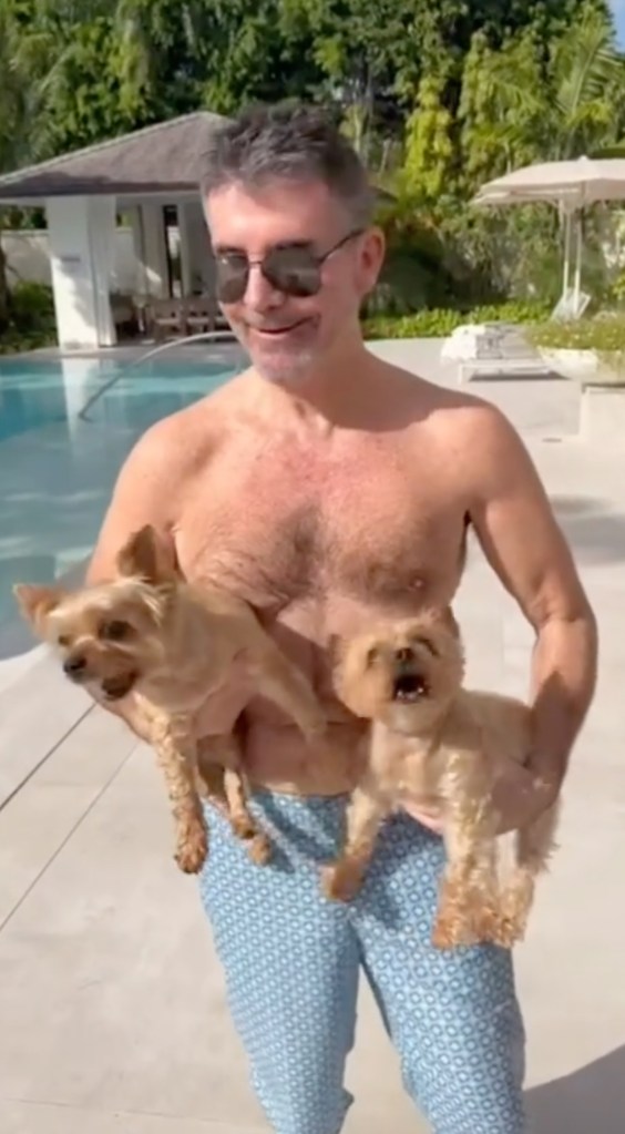 Simon Cowell, shirtless and wearing sunglasses, holding two small dogs near a swimming pool.