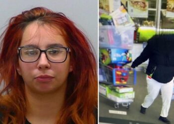 Career shoplifter tries to rob Walmart during ‘shop with a cop’ event that brought over dozen uniformed officers into store
