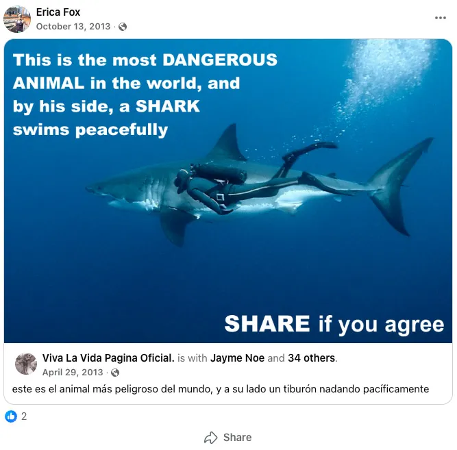 Social media post shared by Erica Fox showing a diver next to a shark underwater with the text 