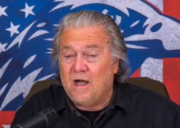 ‘Outrageous!’ Steve Bannon in tailspin over German push to ban ‘repeat of Nazism’