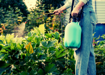 Study Claiming This Weedkiller Is Safe Was Just Retracted—25 Years Later