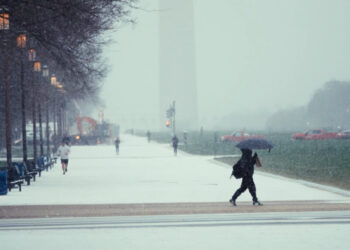 D.C. sees first snow of the season. Here’s how much fell.