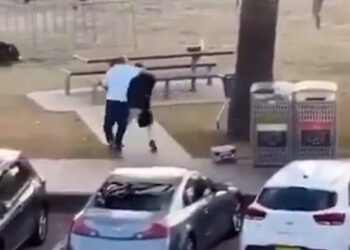 Video shows bystander tackling and disarming Bondi Beach gunman