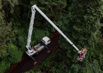 What it takes to decorate the world’s tallest Christmas tree