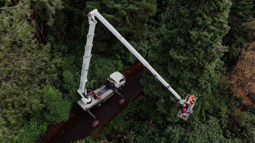 What it takes to decorate the world’s tallest Christmas tree