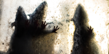 The Earliest Known Plague Wasn’t Spread by Rats, DNA Study Reveals