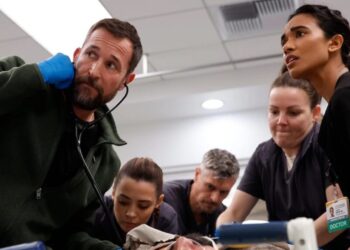 ‘The Pitt’ Season 2 Trailer Promises 4th of July Crisis Before Robby’s Sabbatical