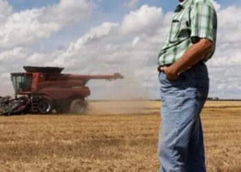 ‘Mayhem’: Farmer warns of catastrophic consequences from Trump’s federal workforce cuts