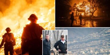 White House slams Newsom after gov claims Trump admin turned down LA wildfire aid meeting: ‘No idea what he’s talking about’