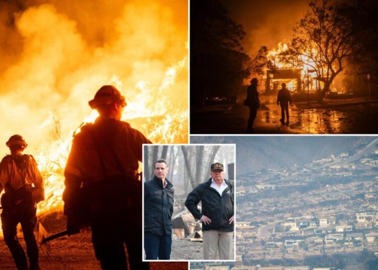 White House slams Newsom after gov claims Trump admin turned down LA wildfire aid meeting: ‘No idea what he’s talking about’