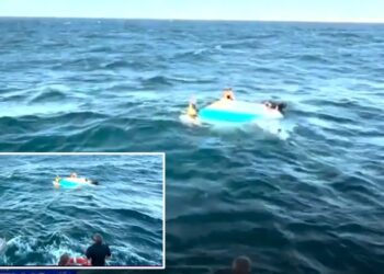 Woman, 51, and boy, 17, rescued after three-hour paddleboarding ordeal off Melbourne